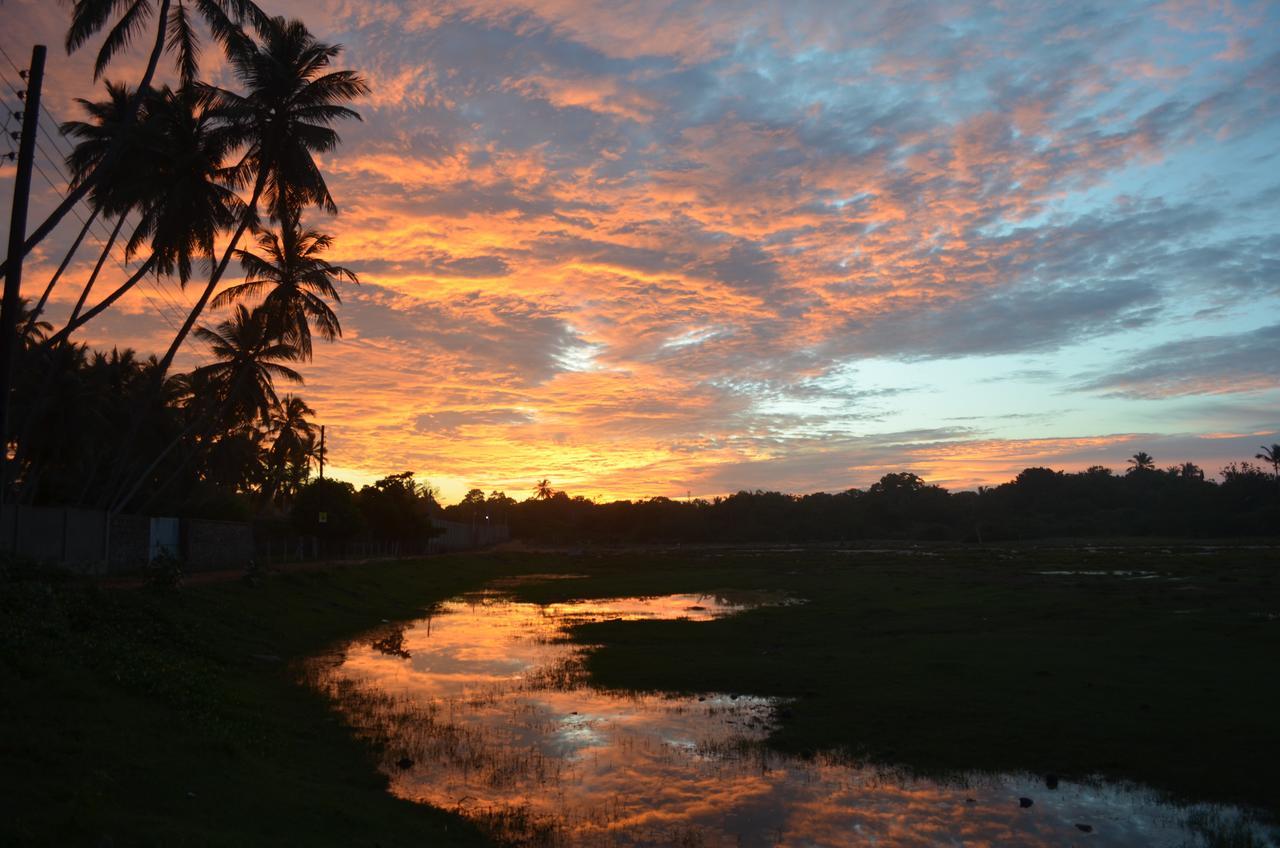 Green Parrot Beach Resort Tangalle Eksteriør bilde