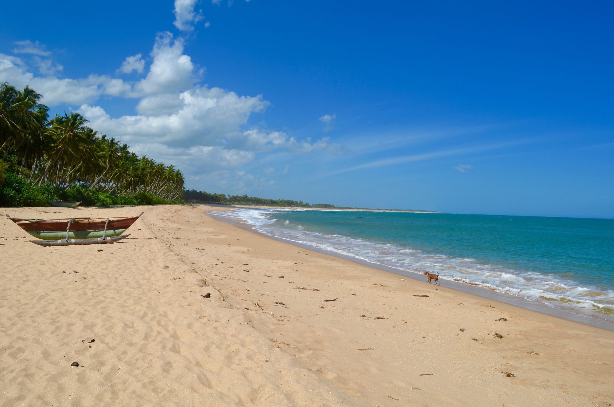 Green Parrot Beach Resort Tangalle Eksteriør bilde